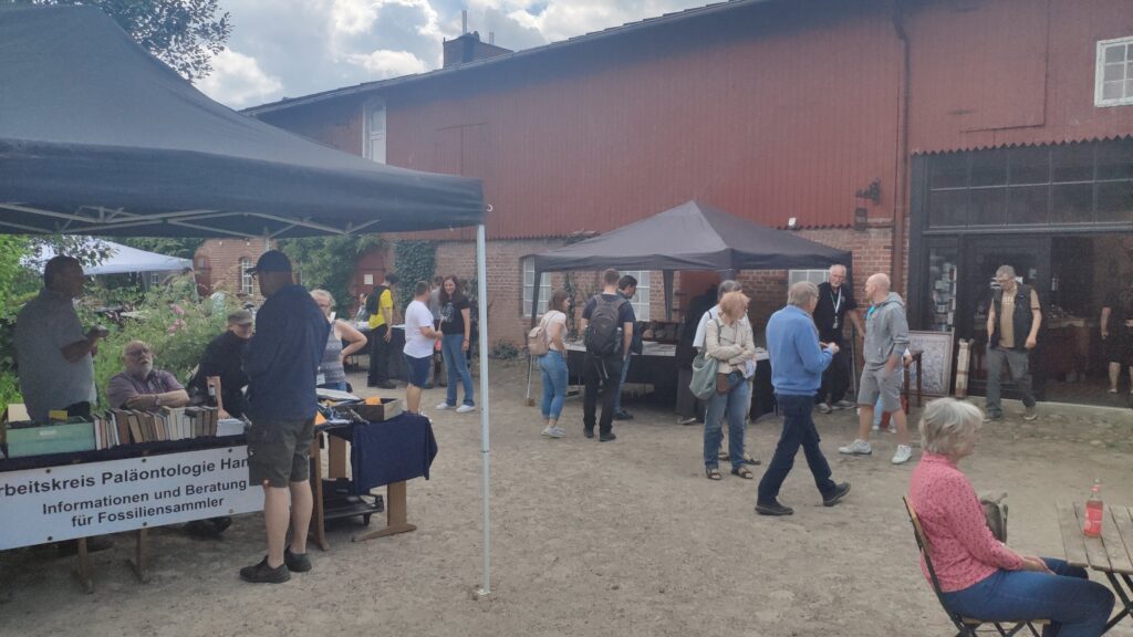 Fossilien Börse Stolpe